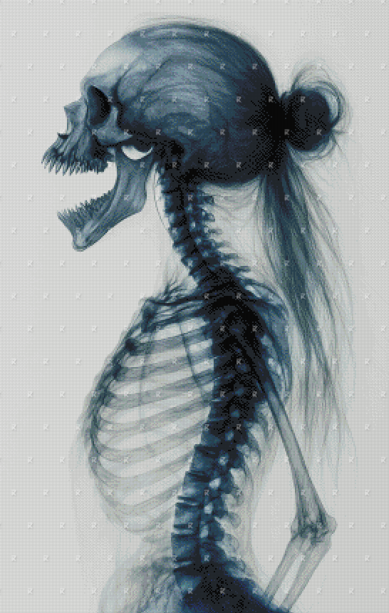 Pre-order The Xray